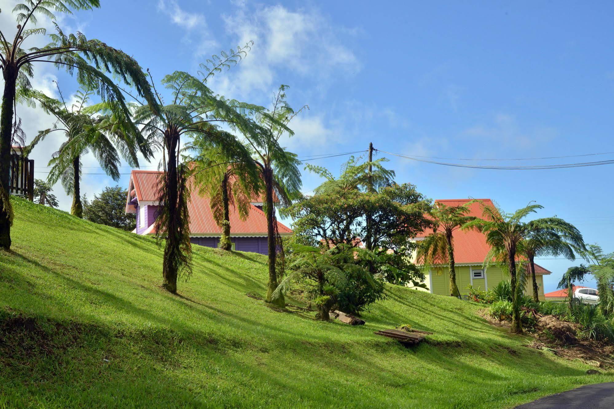 Auberge De La Montagne Pelee Hotel Saint-Pierre Eksteriør billede
